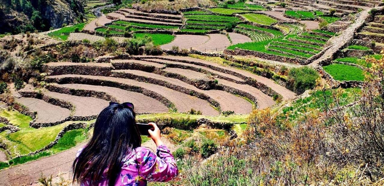Hotel Misky Punuy - Valle Del Sondondo Andamarca Екстериор снимка