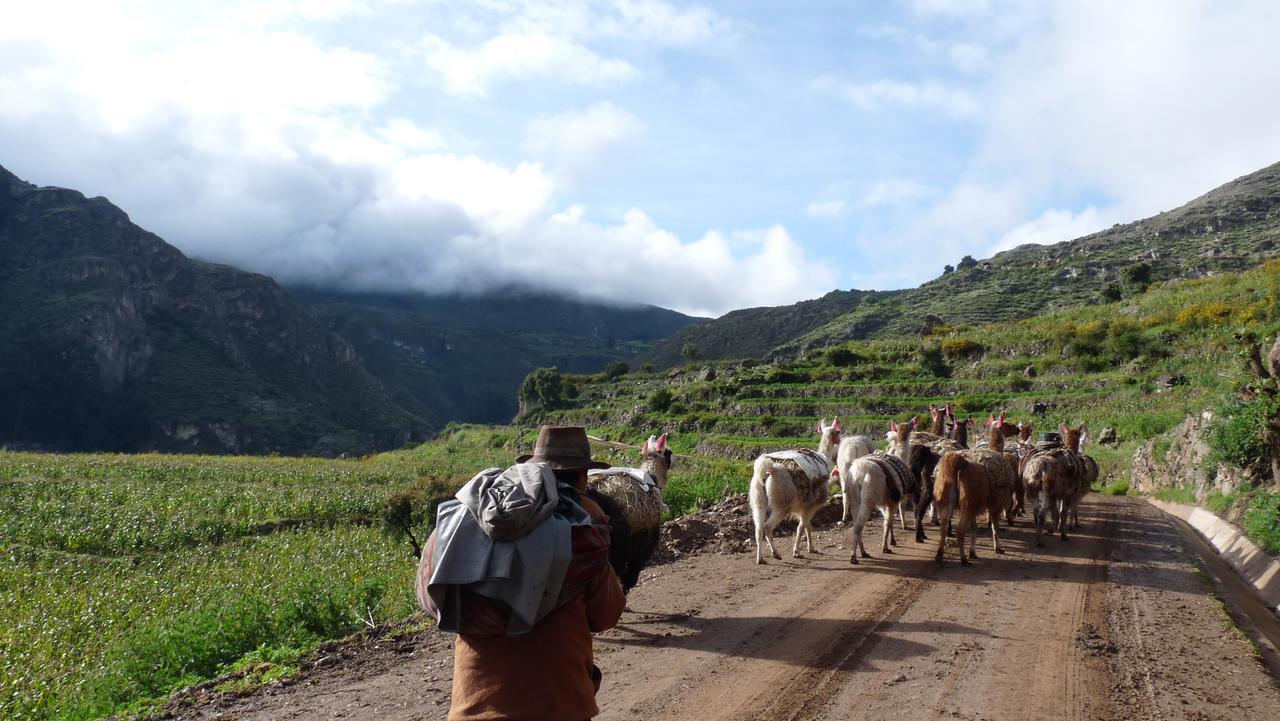 Hotel Misky Punuy - Valle Del Sondondo Andamarca Екстериор снимка
