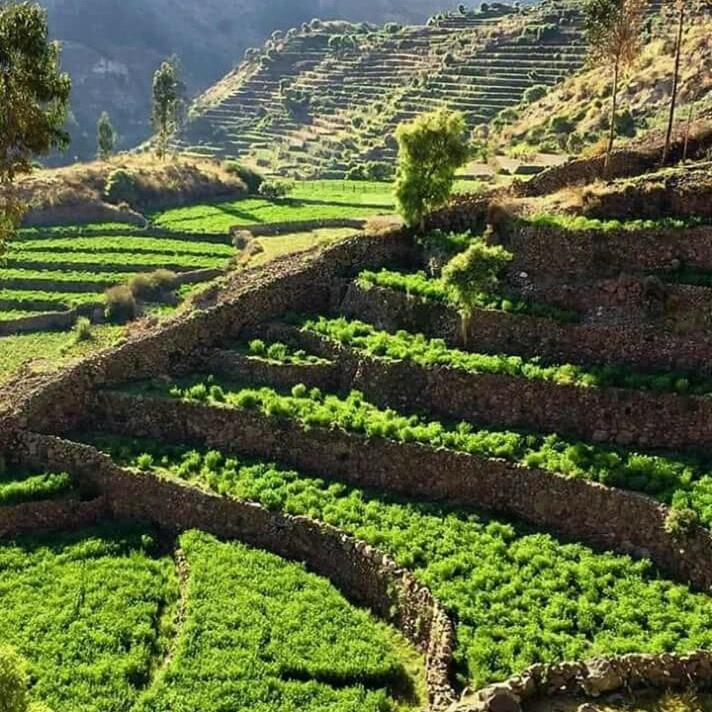 Hotel Misky Punuy - Valle Del Sondondo Andamarca Екстериор снимка
